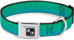 Buckle-Down Ombre Dog Collar, Medium: 16 to 23-in neck, 1.5-in wide