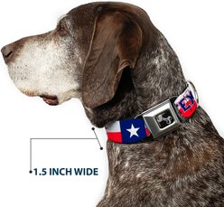 Buckle-Down Texas Flag Dog Collar, Large: 15 to 24-in neck, 1-in wide slide 2 of 8