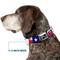 Show in main carousel: Buckle-Down Texas Flag Dog Collar, Large: 15 to 24-in neck, 1-in wide slide 8 of 9