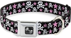 Buckle-Down Skulls Stars Dog Collar, Medium: 16 to 23-in neck, 1.5-in wide