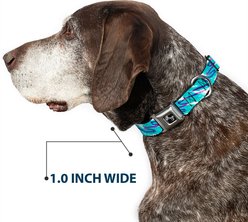 Buckle-Down Jazzy Wave Scribble Dog Collar, Medium: 16 to 23-in neck, 1.5-in wide slide 2 of 8