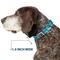 Show in main carousel: Buckle-Down Jazzy Wave Scribble Dog Collar, Large: 15 to 24-in neck, 1-in wide slide 7 of 9