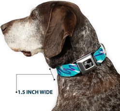 Buckle-Down Jazzy Wave Scribble Dog Collar, Medium: 11 to 16.5-in neck, 1-in wide slide 2 of 8