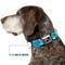 Show in main carousel: Buckle-Down Jazzy Wave Scribble Dog Collar, Large: 15 to 24-in neck, 1-in wide slide 8 of 9