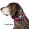 Show in main carousel: Buckle-Down Hibiscus Collage Dog Collar, Large: 15 to 24-in neck, 1-in wide slide 7 of 8