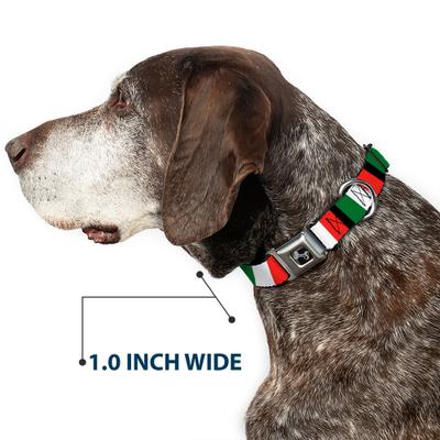 Show full view: Buckle-Down Italy Flags Dog Collar, Medium: 16 to 23-in neck, 1.5-in wide slide 6 of 8