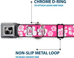 Buckle-Down Hibiscus Neon Dog Collar, Large: 15 to 24-in neck, 1-in wide slide 2 of 8