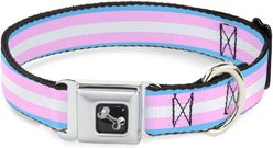 Buckle-Down Flag Transgender Dog Collar, Small: 13 to 17-in neck, 1.5-in wide
