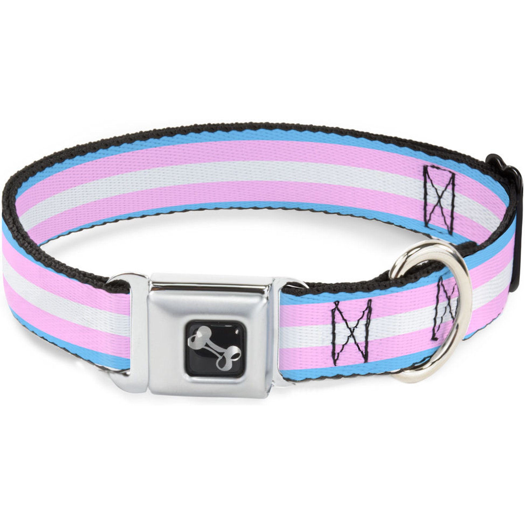 Buckle-Down Flag Transgender Dog Collar, Small: 9.5 to 13-in neck, 1-in wide
