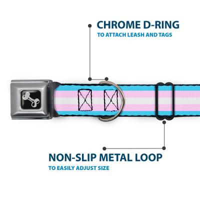 Show full view: Buckle-Down Flag Transgender Dog Collar, Small: 13 to 17-in neck, 1.5-in wide slide 5 of 8