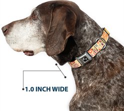 Buckle-Down Summer Harmony Collage Dog Collar, Small: 13 to 17-in neck, 1.5-in wide slide 2 of 8