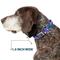 Show in main carousel: Buckle-Down Crystals Dog Collar, Small: 9.5 to 13-in neck, 1-in wide slide 6 of 8