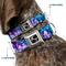 Show in main carousel: Buckle-Down Crystals Dog Collar, Small: 9.5 to 13-in neck, 1-in wide slide 2 of 8