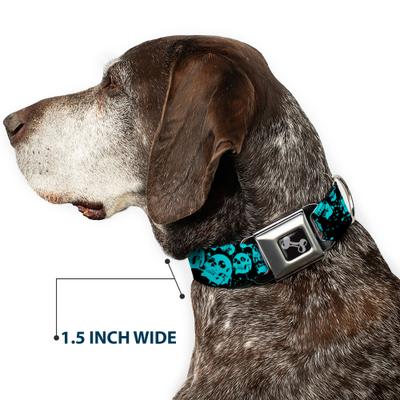 Show full view: Buckle-Down Skulls Stacked Weathered Dog Collar, Small: 9.5 to 13-in neck, 1-in wide slide 8 of 9