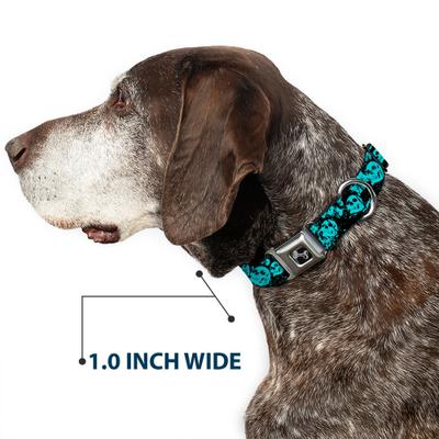 Show full view: Buckle-Down Skulls Stacked Weathered Dog Collar, Small: 9.5 to 13-in neck, 1-in wide slide 7 of 9