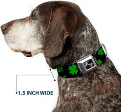 Buckle-Down St Pats Clovers Dog Collar, Large: 15 to 24-in neck, 1-in wide slide 2 of 8