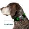 Show in main carousel: Buckle-Down St Pats Clovers Dog Collar, Medium: 11 to 16.5-in neck, 1-in wide slide 8 of 9