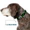 Show in main carousel: Buckle-Down St Pats Clovers Dog Collar, Medium: 11 to 16.5-in neck, 1-in wide slide 7 of 9
