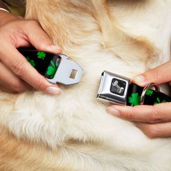 Buckle-Down St Pats Clovers Dog Collar, Small: 13 to 17-in neck, 1.5-in wide slide 2 of 8