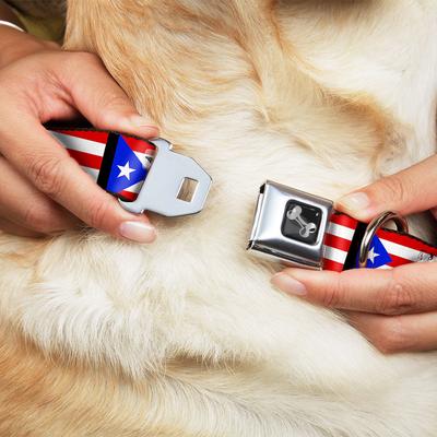 Show full view: Buckle-Down Puerto Rico Flag Dog Collar, Small: 9.5 to 13-in neck, 1-in wide slide 9 of 9