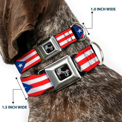 Show full view: Buckle-Down Puerto Rico Flag Dog Collar, Small: 9.5 to 13-in neck, 1-in wide slide 3 of 9