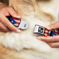 Buckle-Down Puerto Rico Flag Weathered Dog Collar, Large: 20 to 31-in neck, 1.5-in wide slide 2 of 8