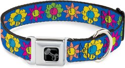 Buckle-Down Funky Flower Drip Dog Collar, Medium: 11 to 16.5-in neck, 1-in wide