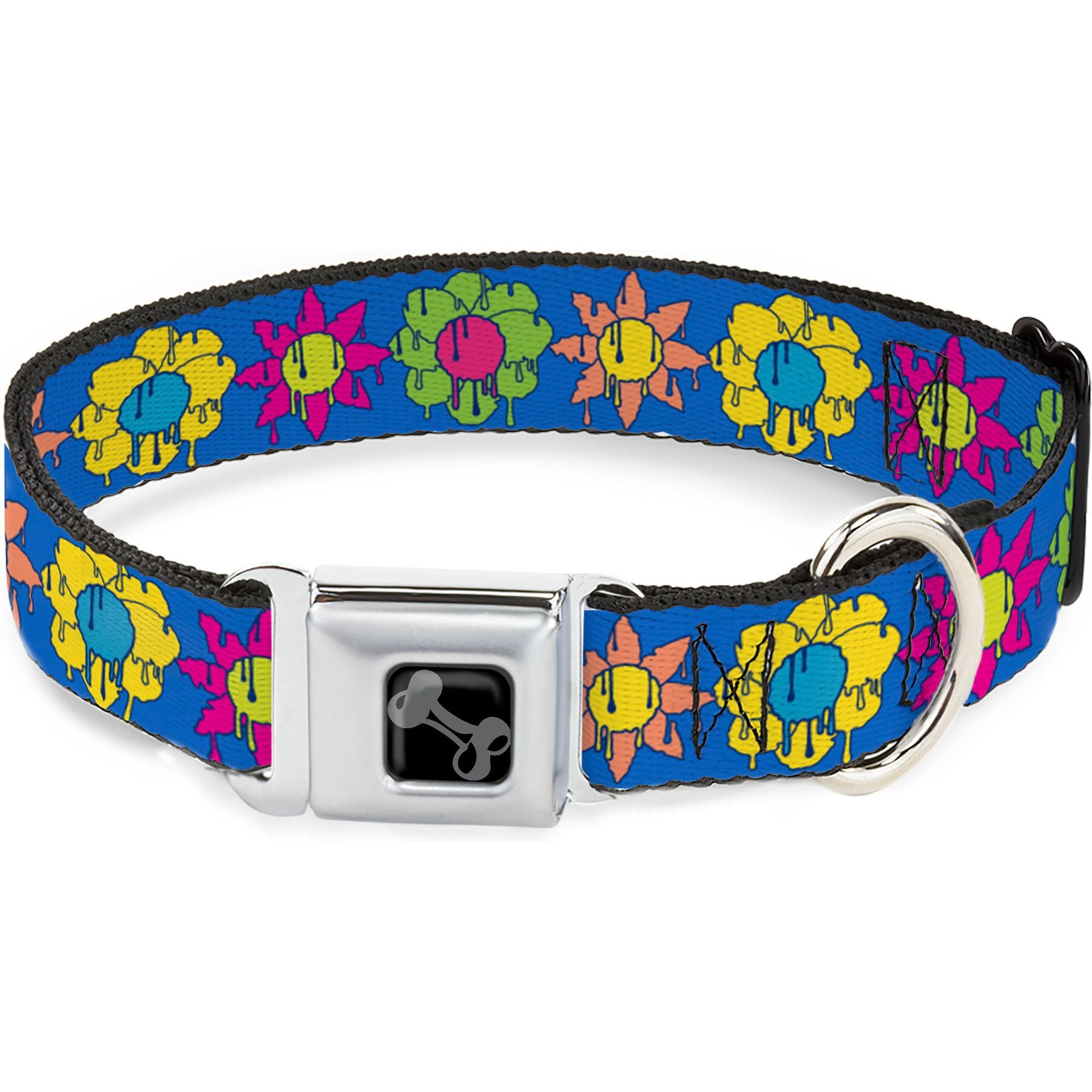 Buckle-Down Funky Flower Drip Dog Collar, Small: 13 to 17-in neck, 1.5-in wide