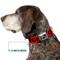 Show in main carousel: Buckle-Down Danger Text Dog Collar, Medium: 11 to 16.5-in neck, 1-in wide slide 7 of 8
