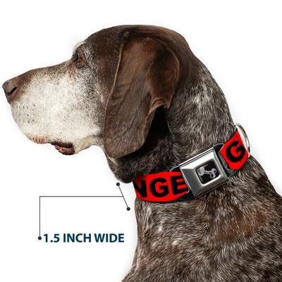 Show full view: Buckle-Down Danger Text Dog Collar, Medium: 11 to 16.5-in neck, 1-in wide slide 7 of 8