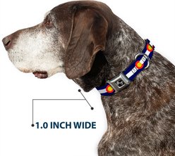 Buckle-Down Colorado Flags Dog Collar, Small: 9.5 to 13-in neck, 1-in wide slide 2 of 8