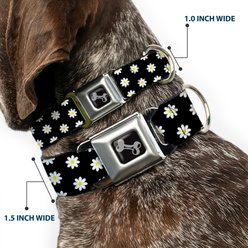Buckle-Down Daisies Scattered Dog Collar, Medium: 16 to 23-in neck, 1.5-in wide slide 2 of 8
