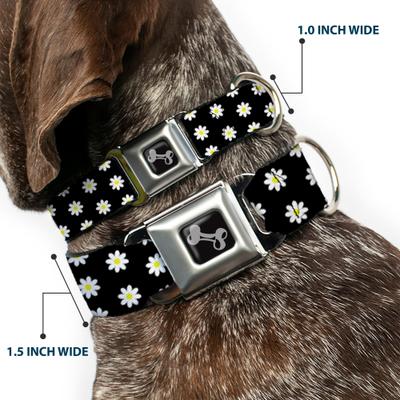 Show full view: Buckle-Down Daisies Scattered Dog Collar, Large: 15 to 24-in neck, 1-in wide slide 2 of 8