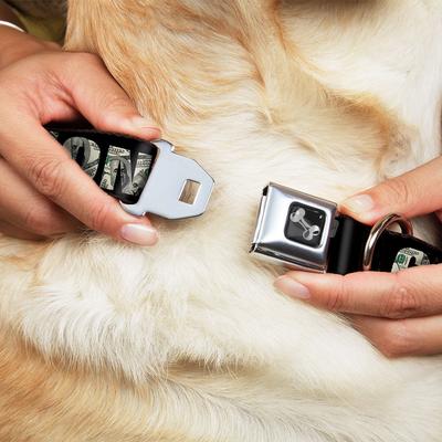 Show full view: Buckle-Down Cash Money Dollar Bills Dog Collar, Small: 13 to 17-in neck, 1.5-in wide slide 9 of 9