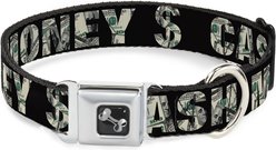 Buckle-Down Cash Money Dollar Bills Dog Collar, Small: 13 to 17-in neck, 1.5-in wide