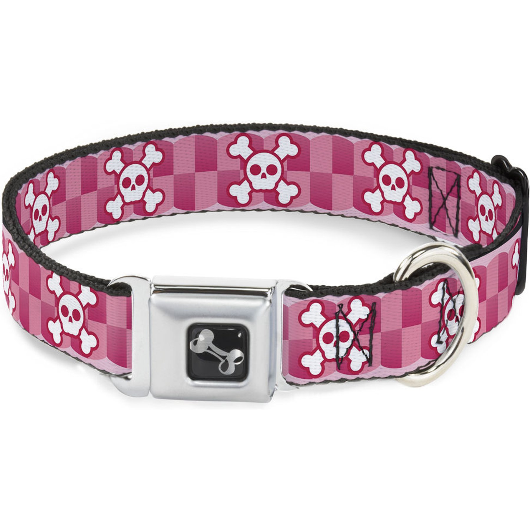 Buckle-Down Cute Skulls Dog Collar, Large: 15 to 24-in neck, 1-in wide
