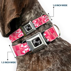 Buckle-Down Cute Skulls Dog Collar, Medium: 16 to 23-in neck, 1.5-in wide slide 2 of 8