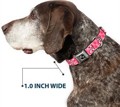 Buckle-Down Cute Skulls Dog Collar, Large: 20 to 31-in neck, 1.5-in wide slide 2 of 8