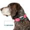 Show in main carousel: Buckle-Down Cute Skulls Dog Collar, Medium: 16 to 23-in neck, 1.5-in wide slide 7 of 8