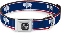 Buckle-Down Wyoming Flags Dog Collar, Small: 13 to 17-in neck, 1.5-in wide