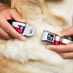 Buckle-Down Texas Flag Dog Collar, Small: 9.5 to 13-in neck, 1-in wide slide 2 of 8