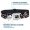 Show in main carousel: Buckle-Down Skulls Stars Dog Collar, Small: 9.5 to 13-in neck, 1-in wide slide 4 of 8