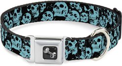 Buckle-Down Skulls Stacked Weathered Dog Collar, Small: 9.5 to 13-in neck, 1-in wide
