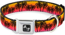 Buckle-Down Palm Trees Sunset Fade Dog Collar, Large: 20 to 31-in neck, 1.5-in wide