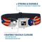Show in main carousel: Buckle-Down Puerto Rico Flag Weathered Dog Collar, Medium: 11 to 16.5-in neck, 1-in wide slide 5 of 9