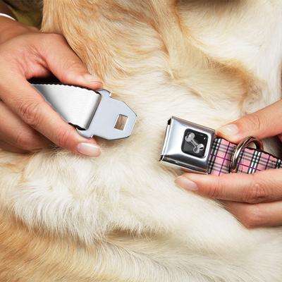 Show full view: Buckle-Down Plaid Dog Collar, Pink, Medium: 11 to 16.5-in neck, 1-in wide slide 8 of 8