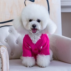 CuteBone Cardigan Striped Knitted Dog Sweater, Pink, Medium slide 2 of 8