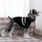 Show in main carousel: CuteBone Cardigan Striped Knitted Dog Sweater, Black, X-Large slide 10 of 11