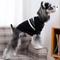 Show in main carousel: CuteBone Cardigan Striped Knitted Dog Sweater, Black, X-Large slide 8 of 11