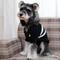 Show in main carousel: CuteBone Cardigan Striped Knitted Dog Sweater, Black, X-Large slide 7 of 11